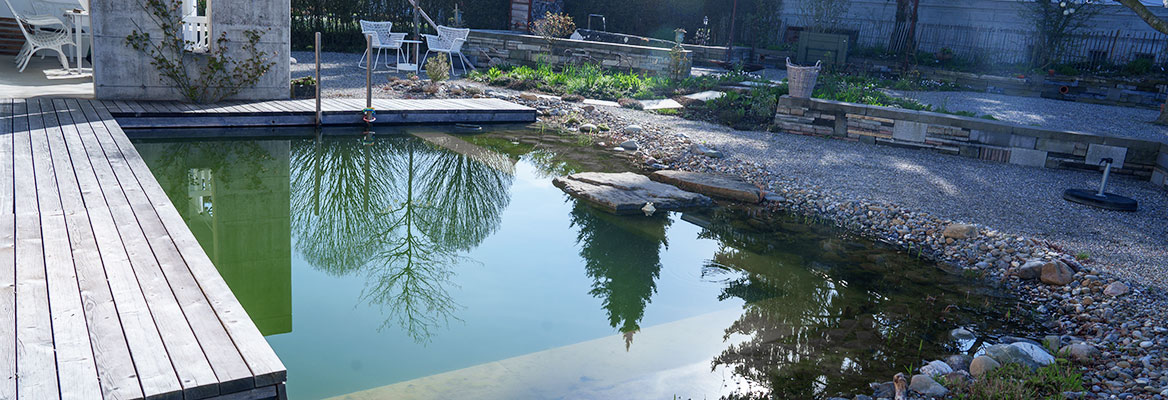 Construction d'étangs Jardinage Étang
